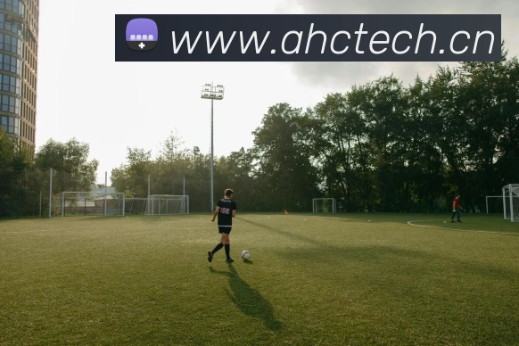 爱游戏ayx体育登录平台生态图